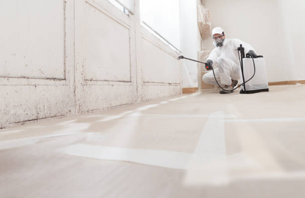 24/7 Emergency Mold Testing experts in Richland, GA