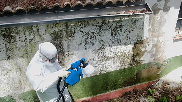 Trusted Bathroom Mold Removal service in Richland, GA - Cheap Mold Removal